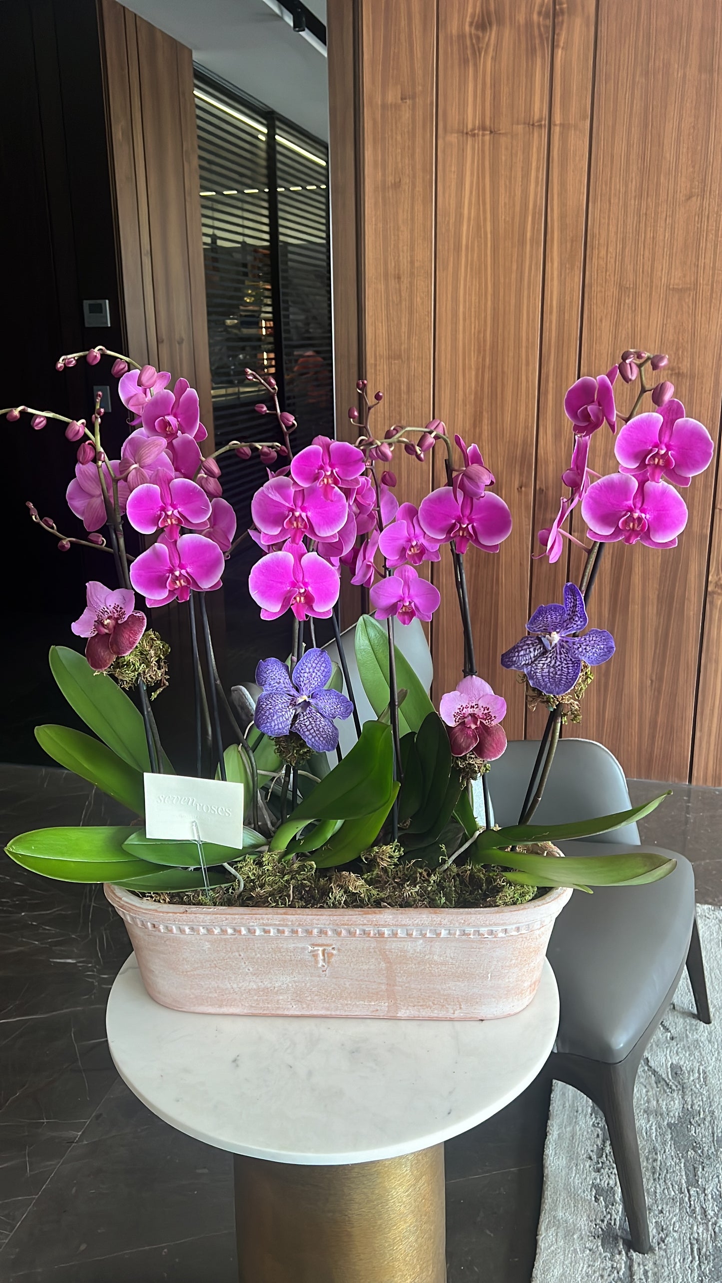 Orchid Garden