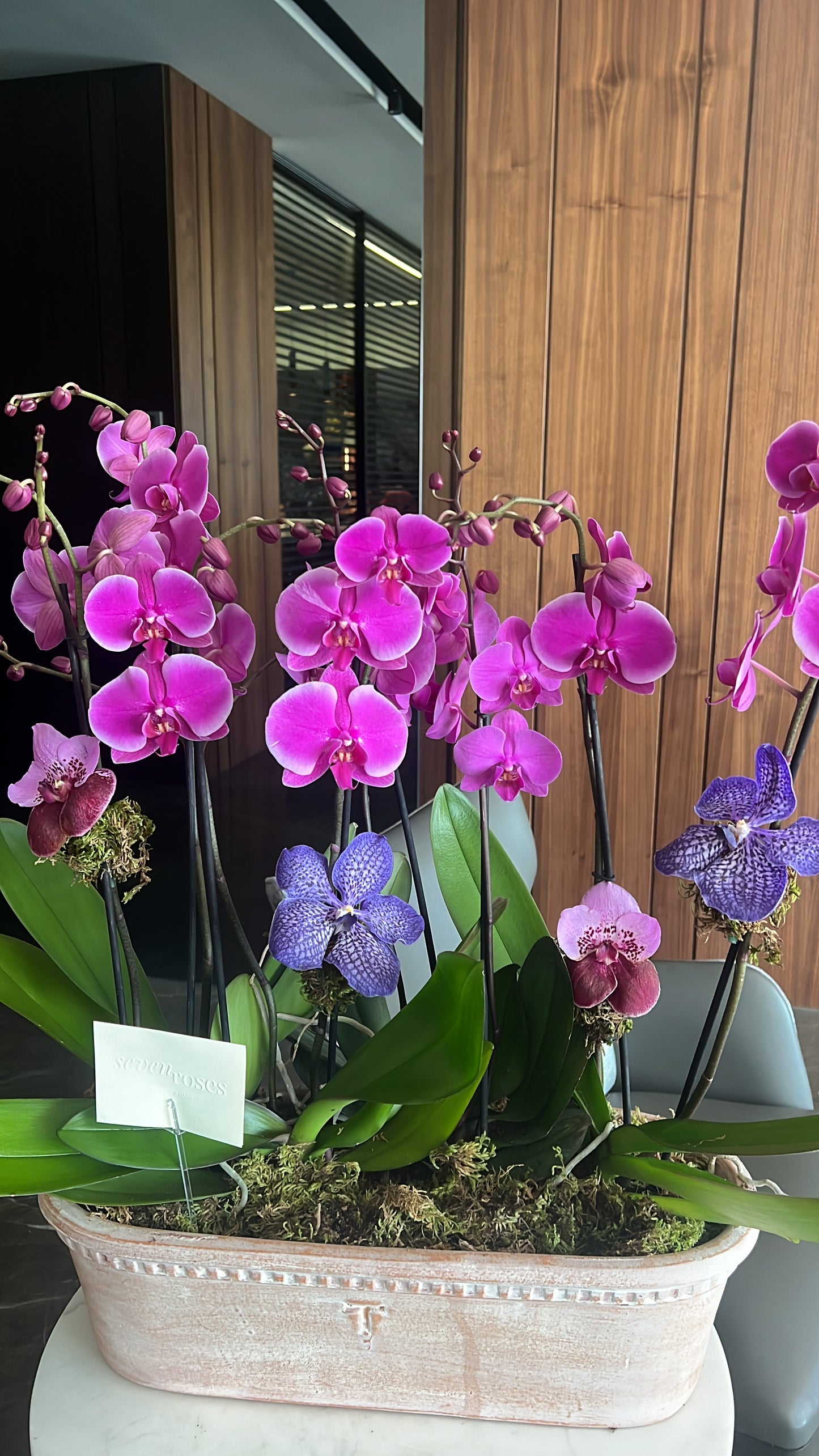 Orchid Garden