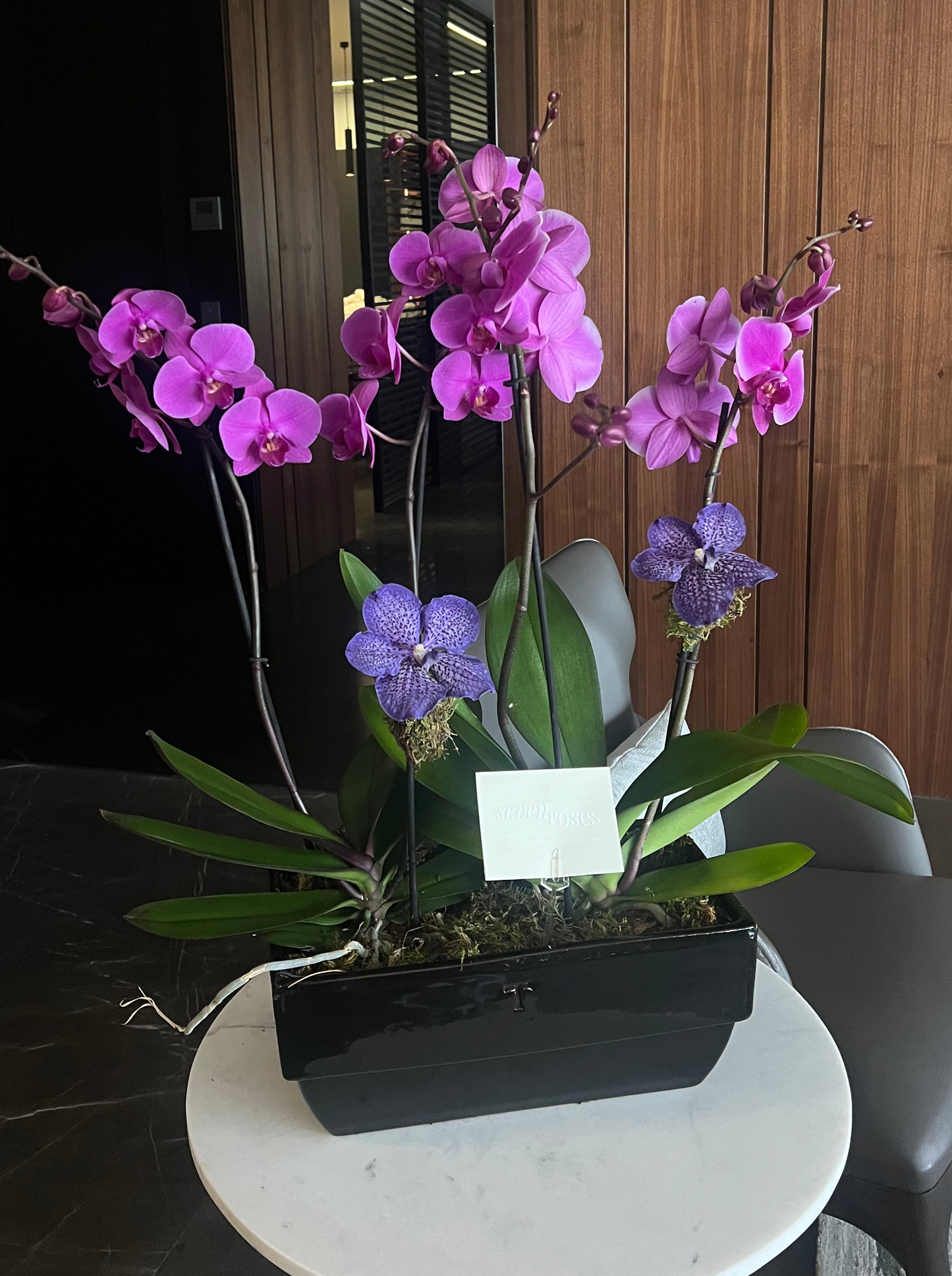 Pair of Orchids