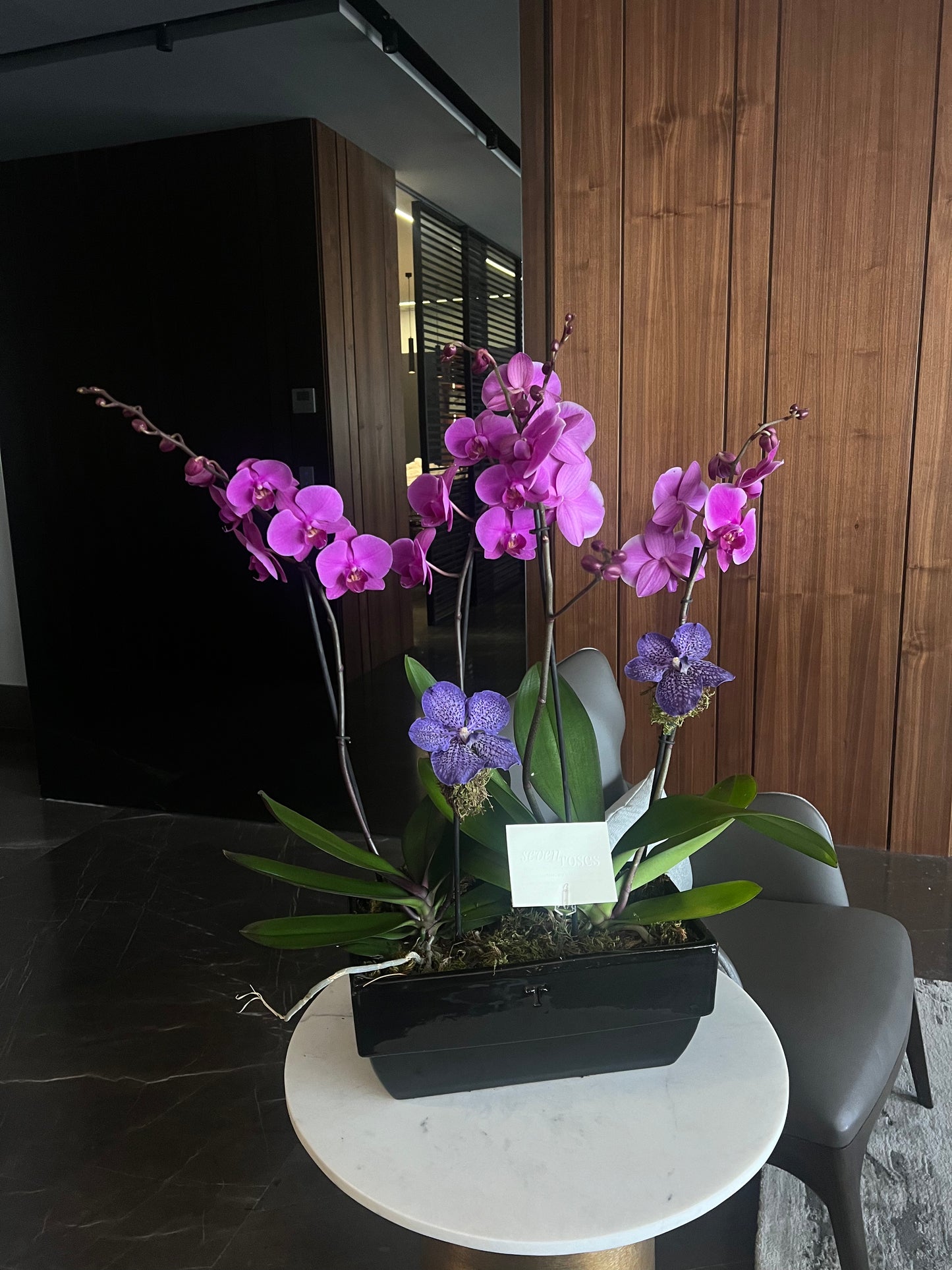 Pair of Orchids