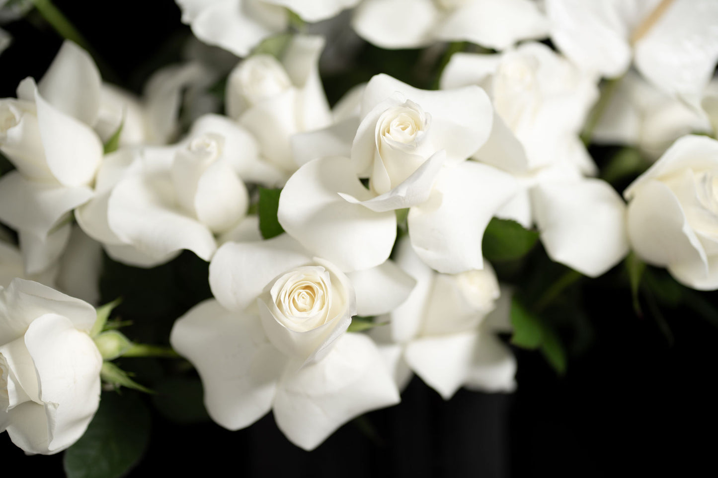 Forever in White