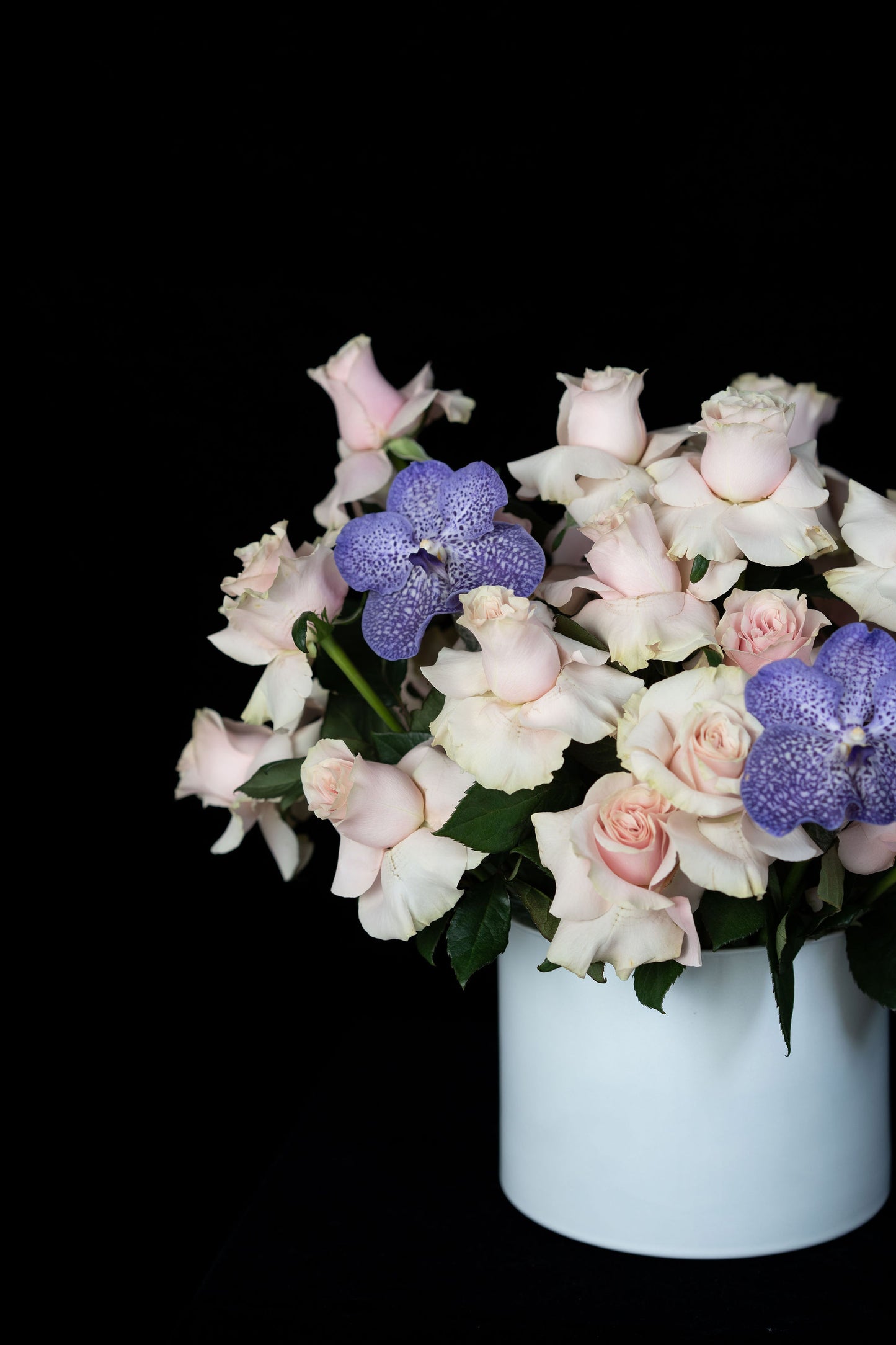 Purple and pinks