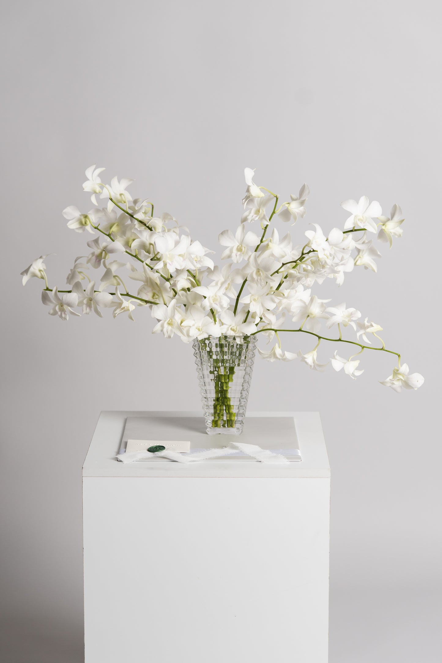 Kit White Dendrobium