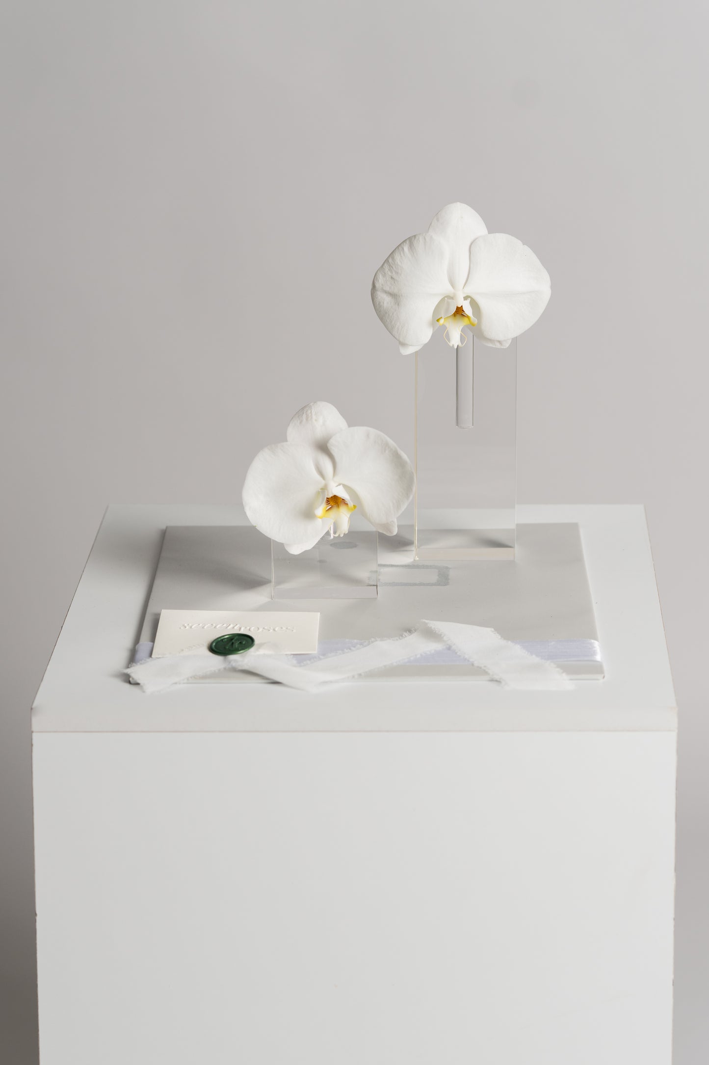 Kit Minimal White