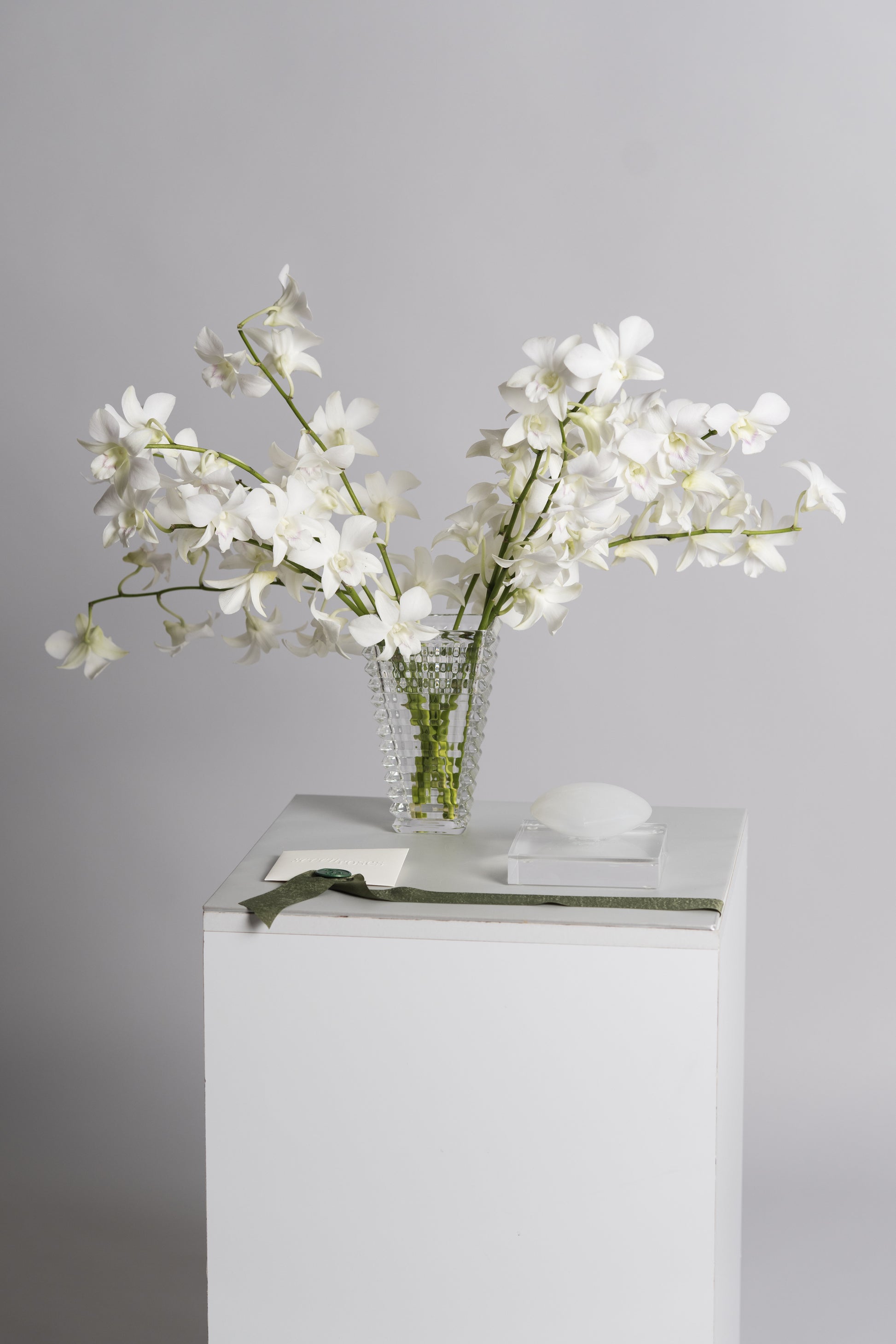 Corazón blanco