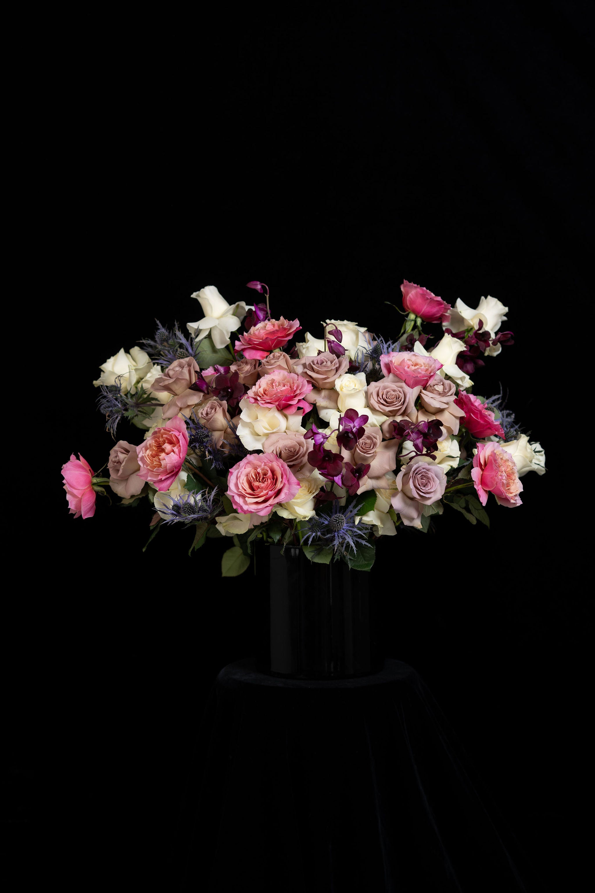 Bold Roses Bold and elegant – Seven Roses