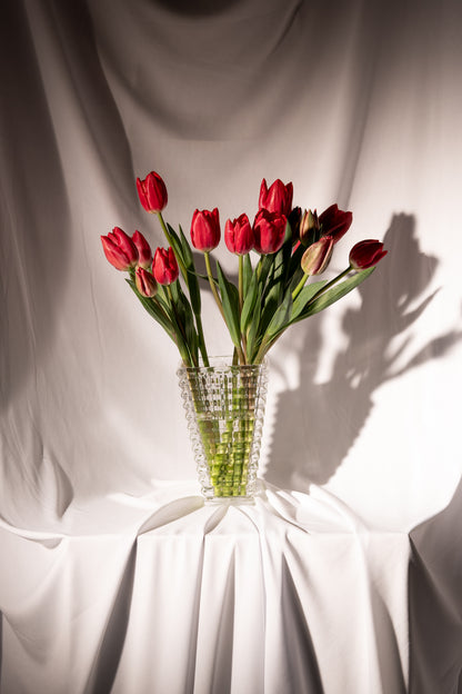Red Tulips