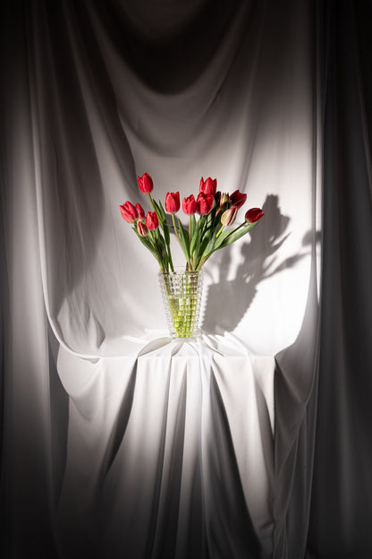 Red Tulips