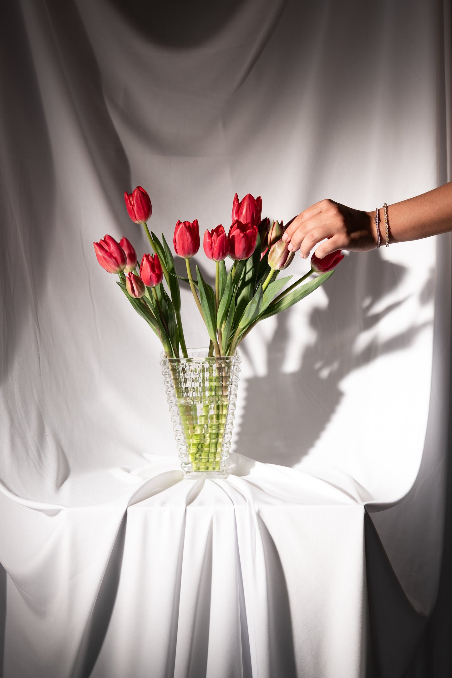 Red Tulips