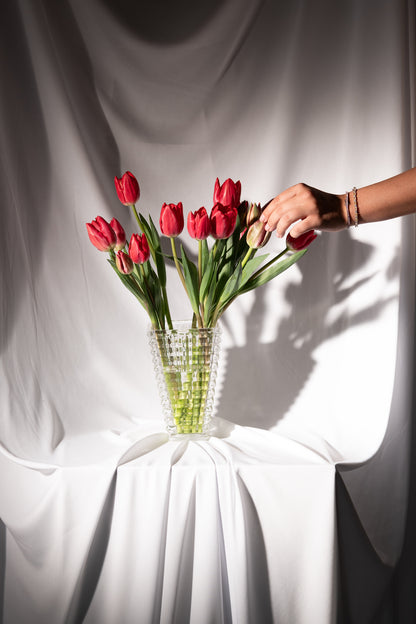 Red Tulips