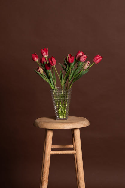 Red Tulips